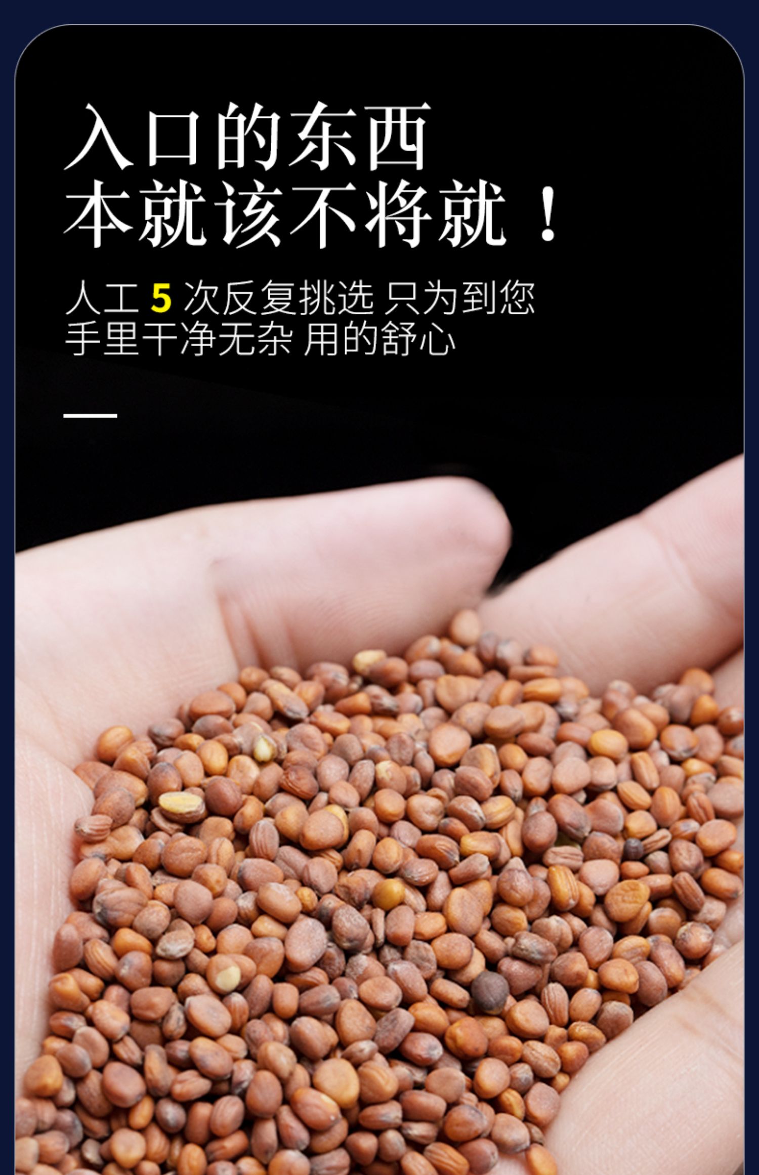 北京同仁堂莱菔子中药莱菔子茶莱菔子250克萝卜籽萝卜子芦菔子萝白子