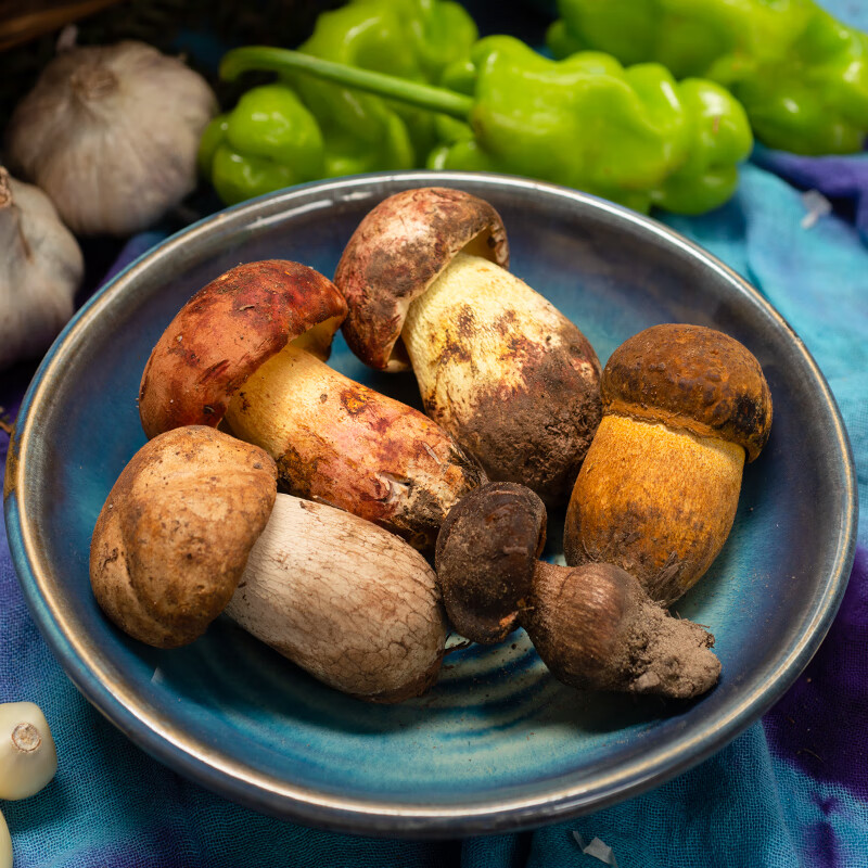新鲜野生牛肝菌见手青红黄黑白牛干菌子云南野生菌菇蘑菇食用500g 黑
