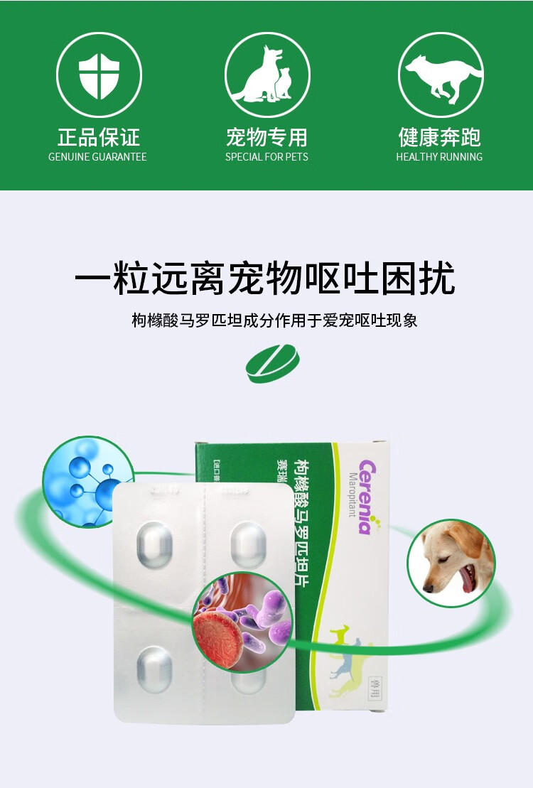 止吐宁猫用图片