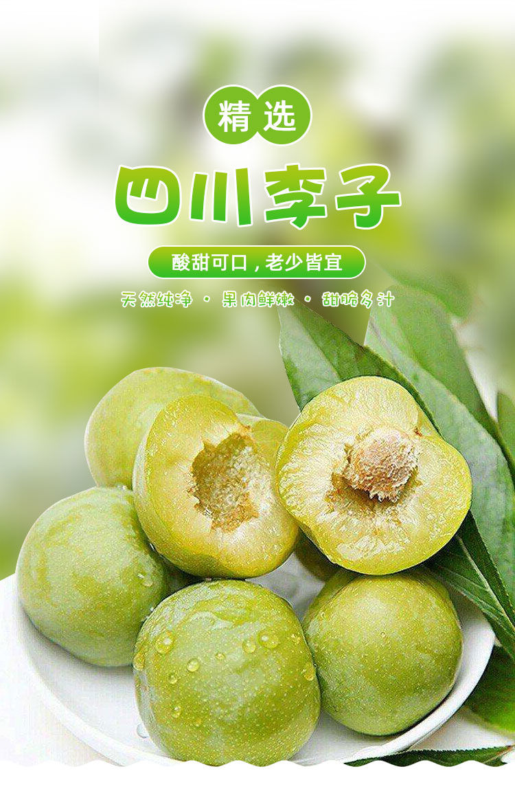 闪发5斤正宗四川脱骨李子青脆李空心土李子孕妇新鲜水果整箱人工挑选