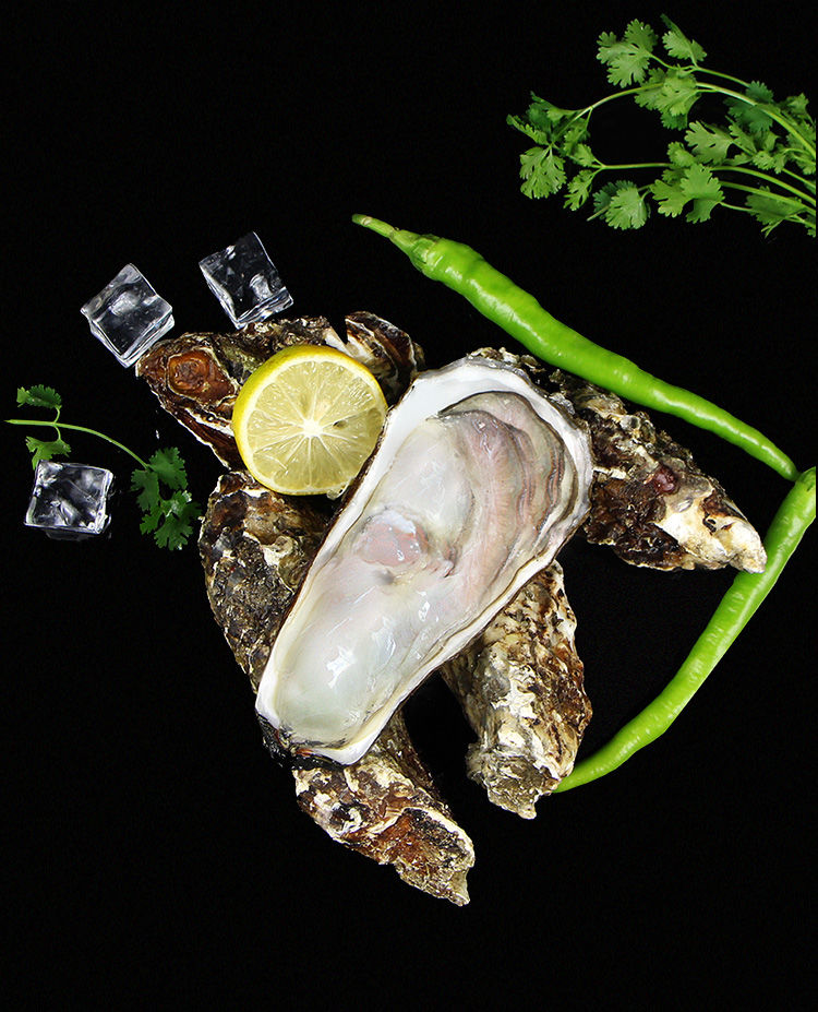 蚝王生蚝鲜活新鲜牡蛎带壳 海鲜水产海蛎子 5斤 5xl金蚝王【图片 价格