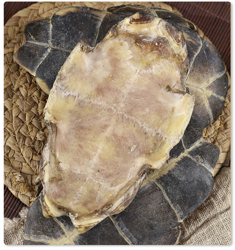 龟板中药材250g 生龟板 龟甲中药 龟下甲龟底板新货【图片 价格 品牌