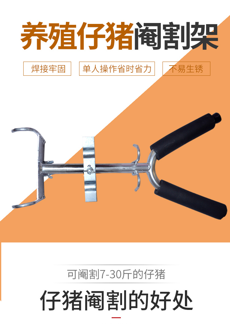 仔猪阉割架不锈钢阉猪架壁挂式小猪阉割器兽用三角固定仔猪去势架