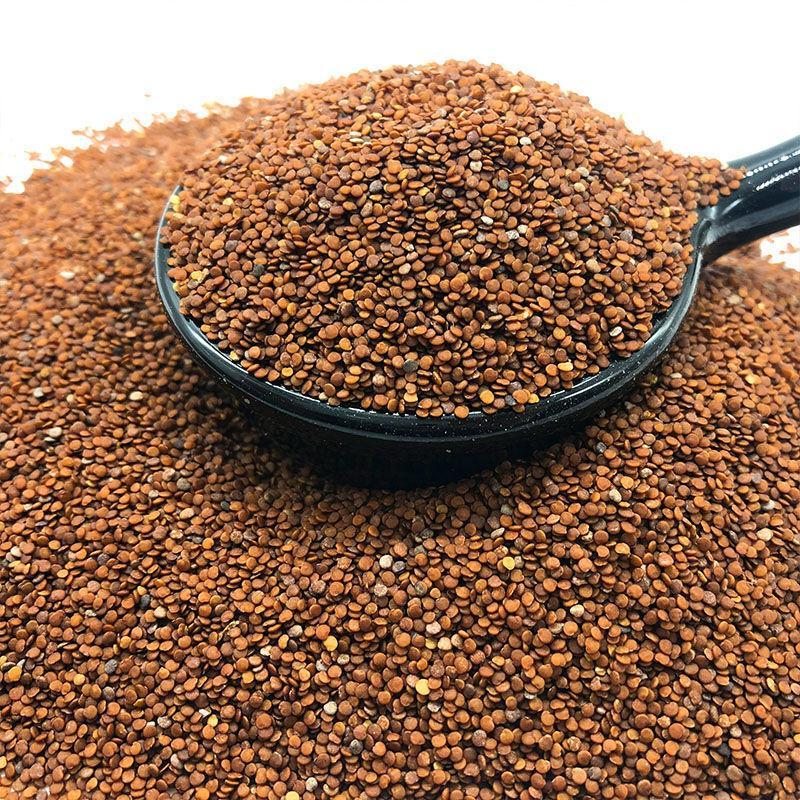 5折 冰粉籽四川手搓冰粉籽籽手工气泡冰粉原料商用冰粉籽 250克籽 配