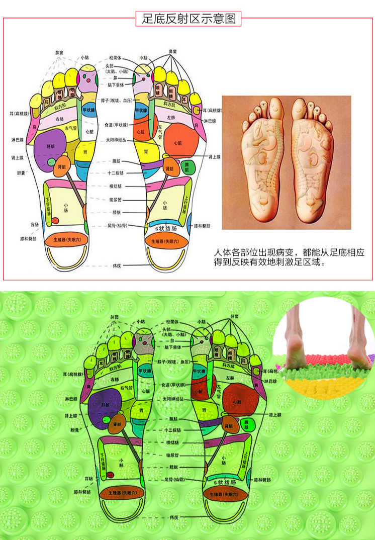 女人按摩脚底疼对照表图片