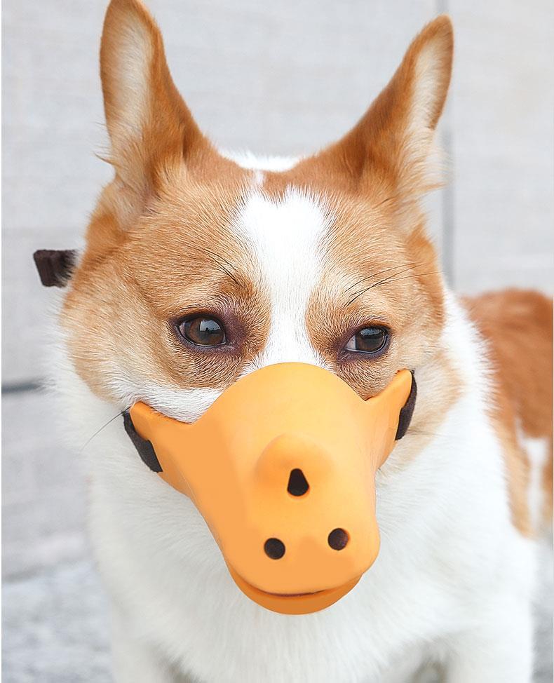 猫山王 【抖音同款 夏季必备】狗狗嘴罩嘴套小型犬止吠器防咬神器柯基