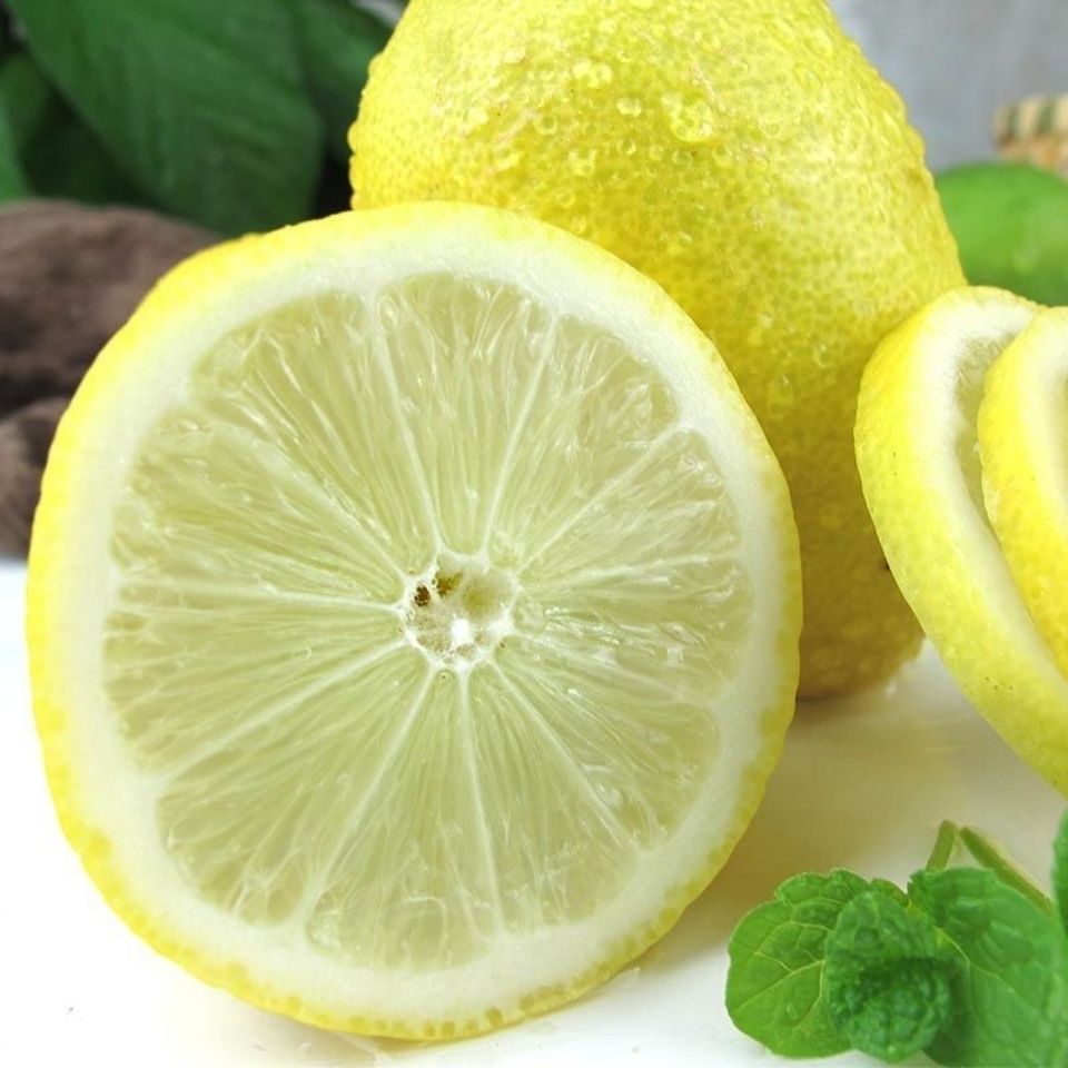 黄柠檬香水柠檬无籽海南台湾品种果园现摘批发 圆形黄柠檬多汁型3斤装