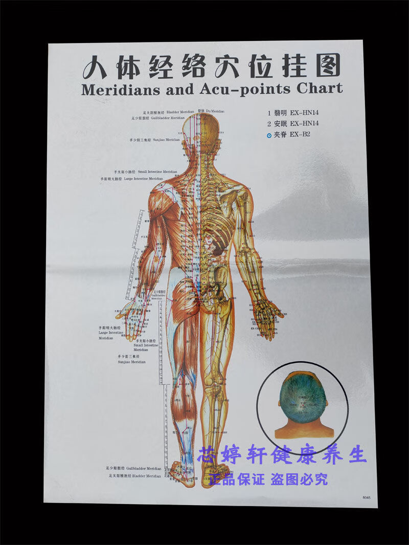 7张大挂图人体经络穴位图手掌耳朵足部头全身健康疗法挂图水头图1张