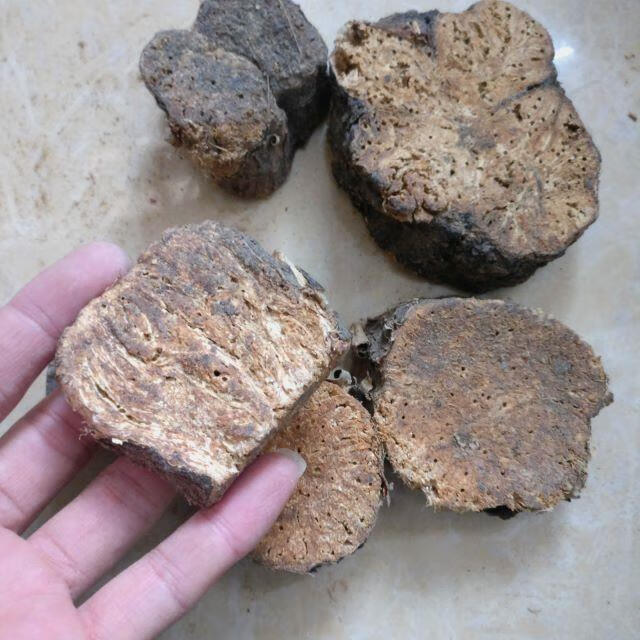 北京同仁堂原料 阿魏根野生阿魏臭阿魏真阿魏阿魏根250克内廷上用