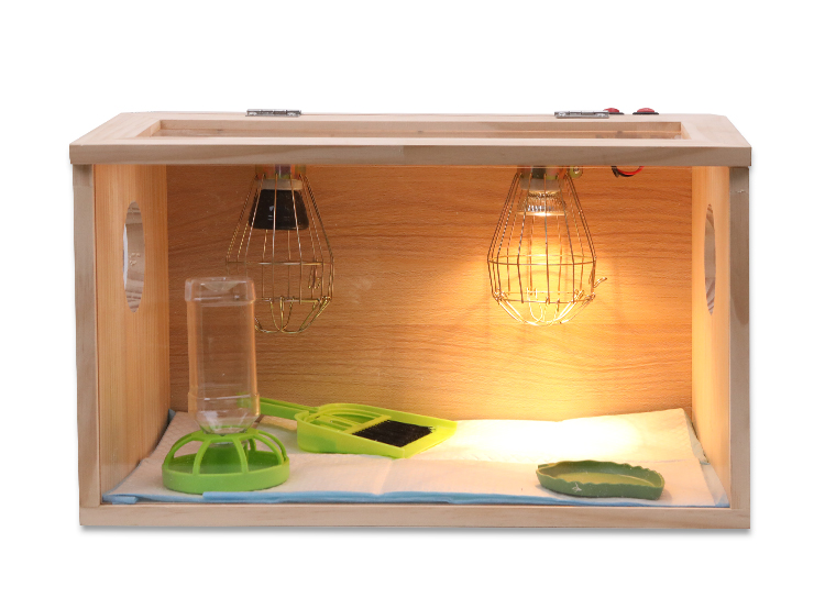 鸡仓鼠玄凤幼鸟宠物繁殖可控恒温 推拉门款50*30*30育雏箱恒温套餐 可