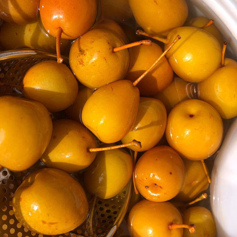 酸噑酸甜沙梨泡梨李子芒果萝卜仔葡萄500克 1斤冰糖沙梨(袋装)【图片