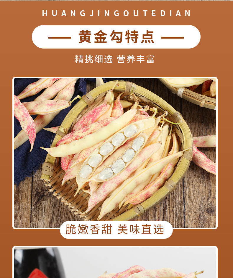媚调 黄金沟钩勾勾东北特产豆角新鲜面鼓芸豆角子黑龙江蔬菜东北油