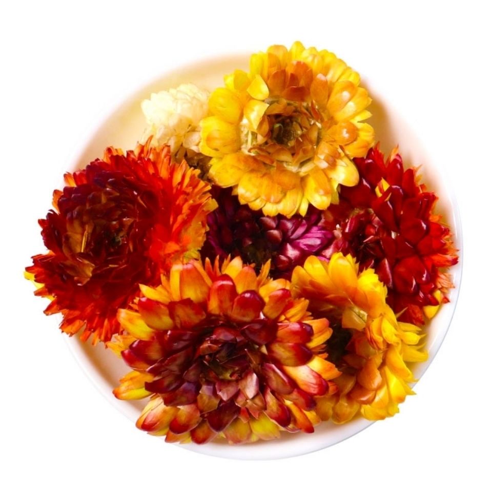 同堂西藏七彩菊花茶七彩菊干花彩色菊藏菊花太阳菊非特级野生七彩菊茶