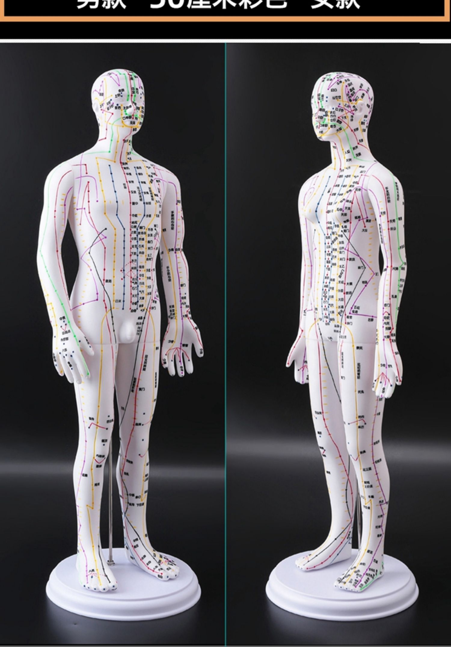 中医学生教学经络针灸穴位人形人体模型可扎针十二全身图高清铜人 铜