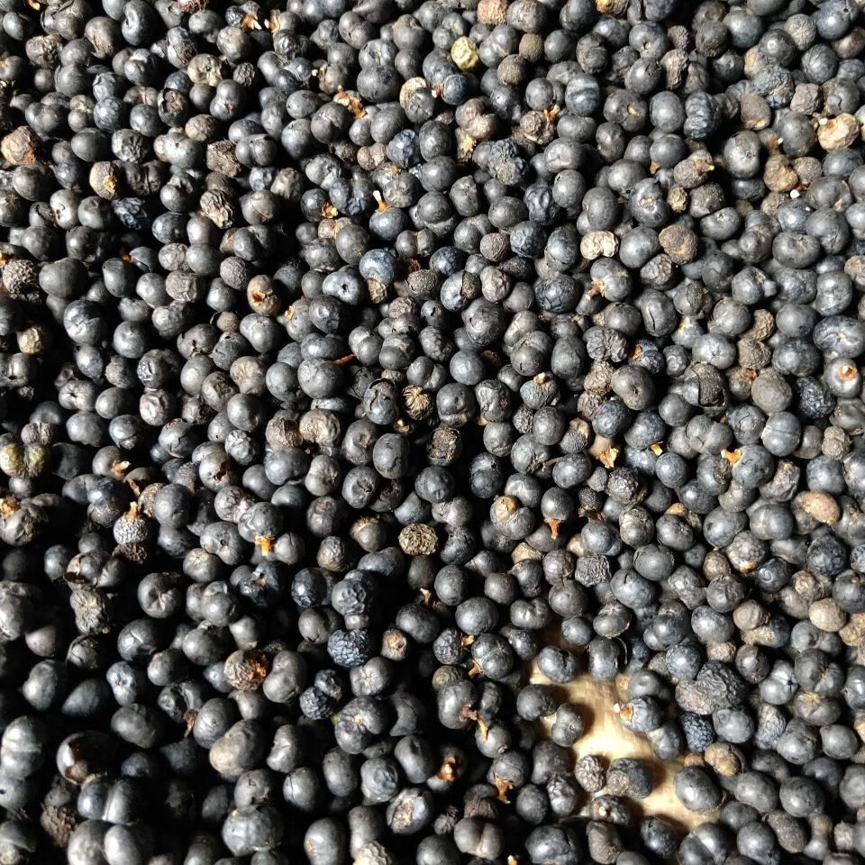 秦岭中药材野生无硫棕榈籽棕榈子败棕子棕树果500克 无硫棕榈籽2斤