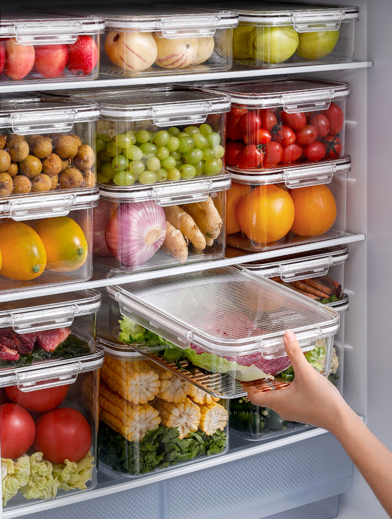 毕曦之艾仕可厨房收纳盒 冰箱食物保鲜冷冻神器长方形蔬菜水果食品