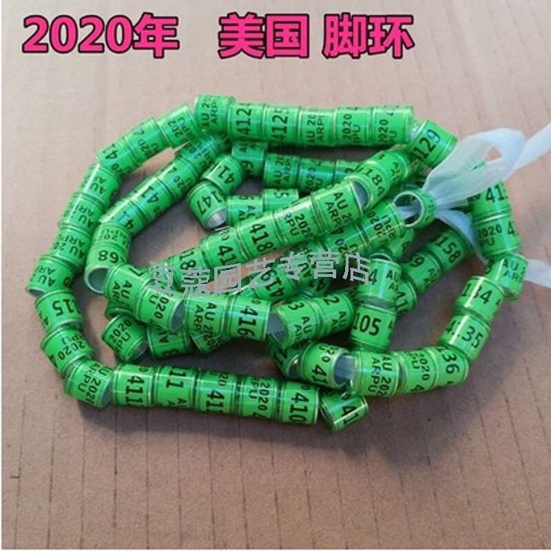 豆蔻园艺 鸽子脚环信鸽用品用具电子环足环2020年全国统一环仿真环