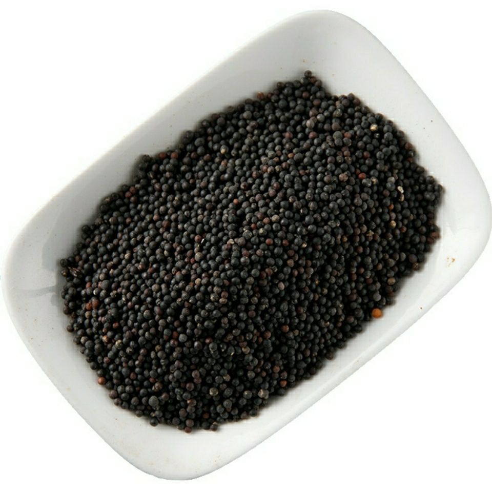 6015啡晨 中药材 生王不留行 王不留行王不留籽 留行子新货 100g