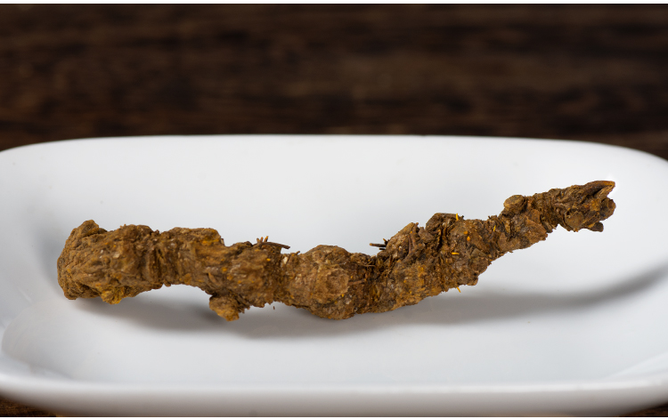 北京同仁堂中药材黄连 单支黄连川连中药材川黄莲片根中药黄连粉100g