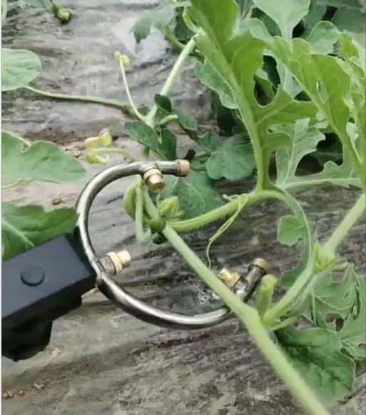 西瓜黄瓜喷花神器农用电动喷雾器环形半开口3喷坐果沾花园林涂白sn