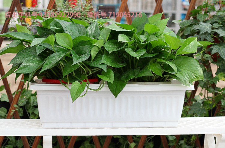 阳台种菜盆园艺长方形花盆花槽树脂塑料特大种植箱带隔网绿植盆栽 3个