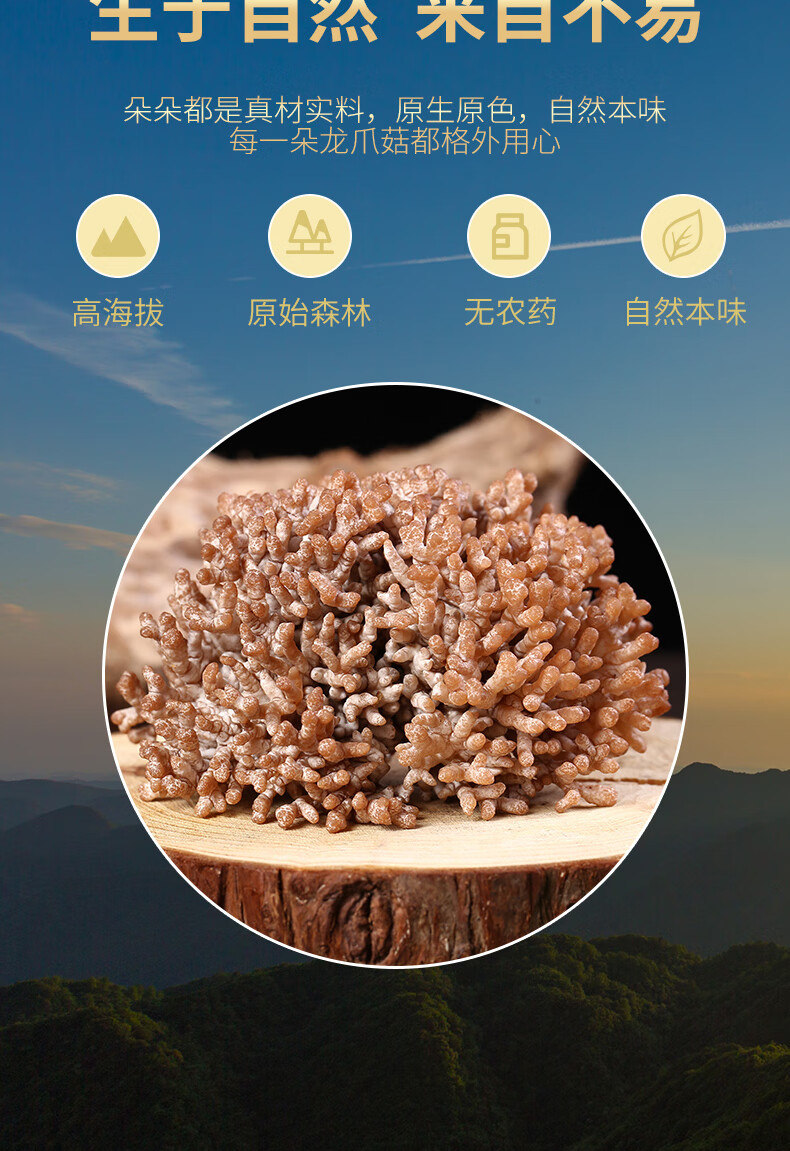 【新鲜龙爪菇1斤】云南当季时令山珍菌类蔬菜蘑菇菌煲汤火锅 新鲜龙爪