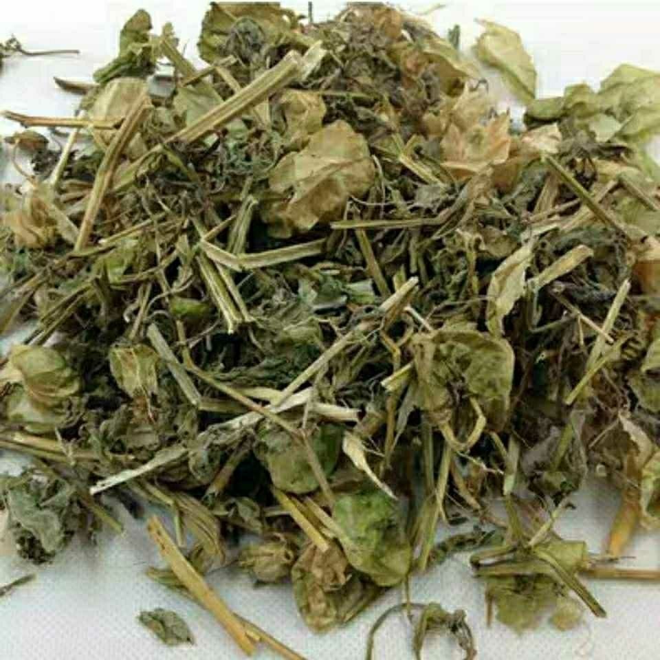灯笼草 打卜草 打额泡 天泡草 黄灯笼黄姑娘王母珠 灯笼草500克【图片