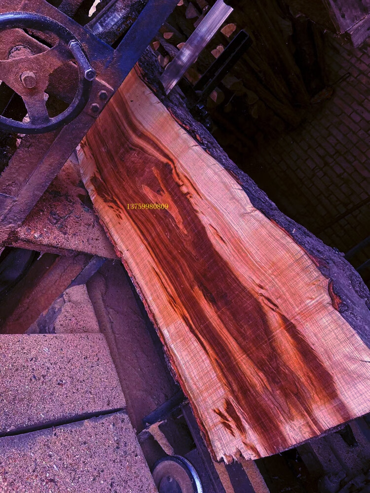 陕西秦岭的珍稀木材图片