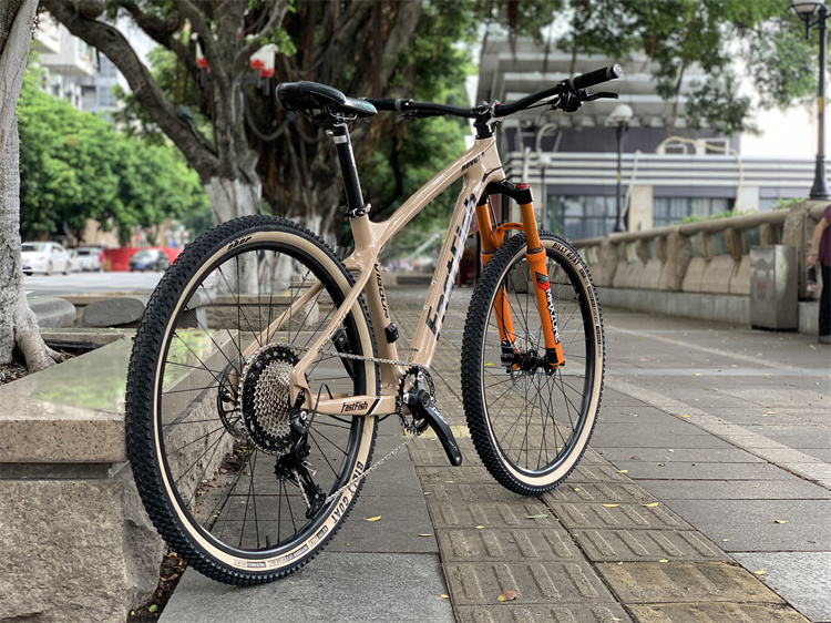 5寸fastfish碳纤维12速爬坡版山地车气叉油刹轻量自行车 禧玛诺12速