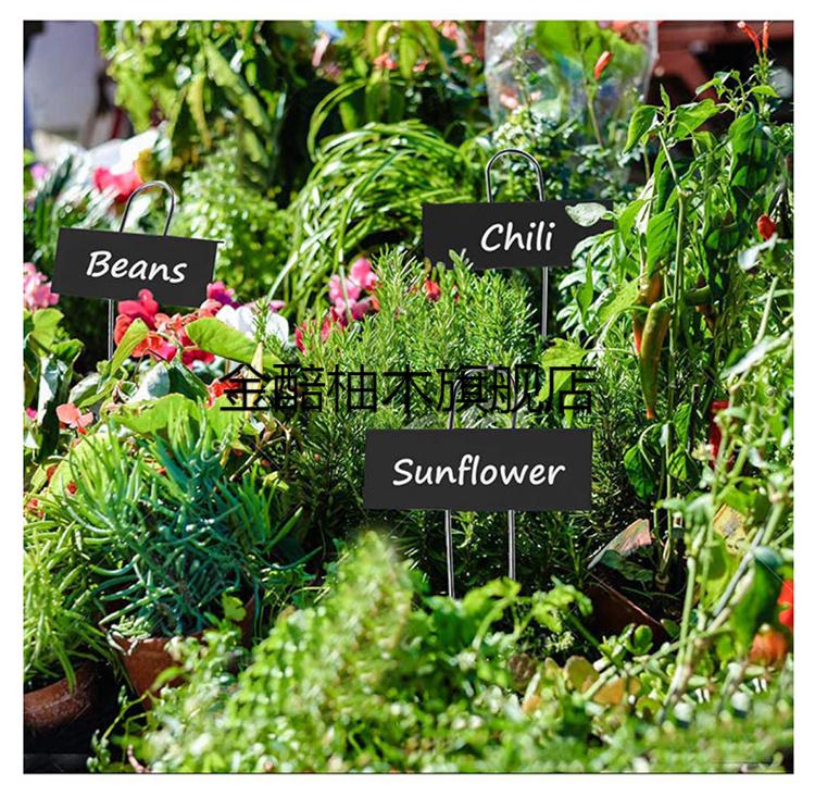 新款植物标签牌标识牌园艺标签月季苗木蔬菜植物防水金属铜制大号标识
