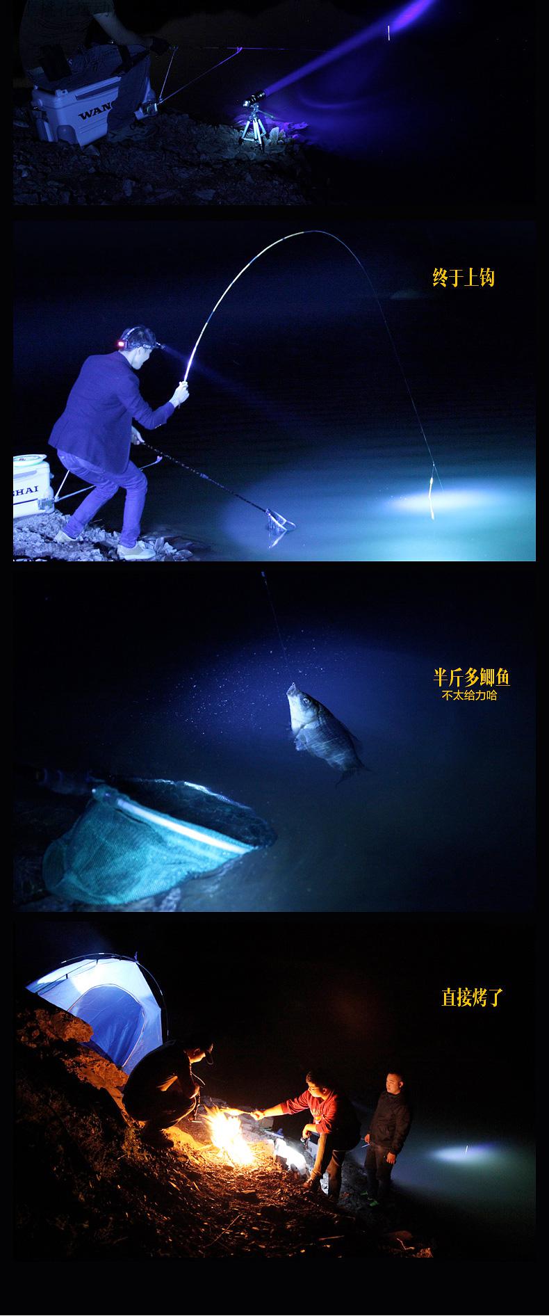 夜钓灯夜钓灯钓鱼灯紫光台钓超亮野钓鱼灯氙气蓝光电筒强光夜光激光炮