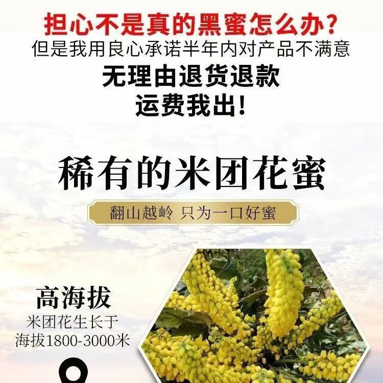 3，黑蜂蜜500g蜂蜜純正土蜂蜜百花蜂蜜團花蜜 黑蜂蜜500g/瓶