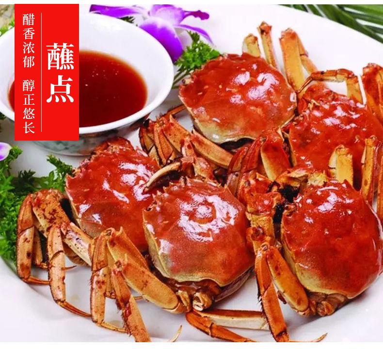 官方旗舰淯阳大红浙醋桶装红醋萝卜烤鸭上色醋红汁蟹虾醋泡菜红醋5l