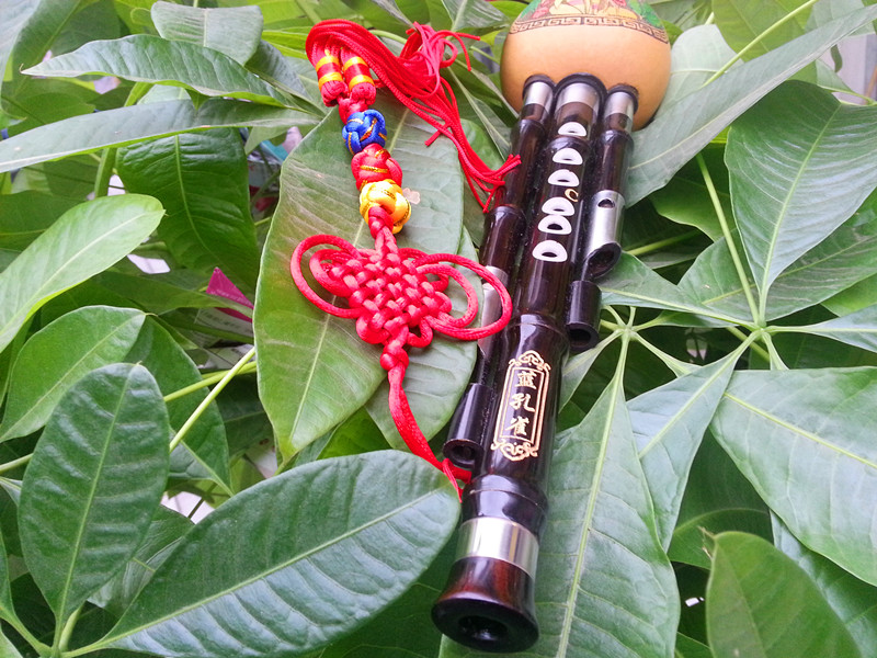 孔雀蓝葫芦丝降b调蓝孔雀t-081演奏录音级天然乌木可拆三音葫芦丝c调