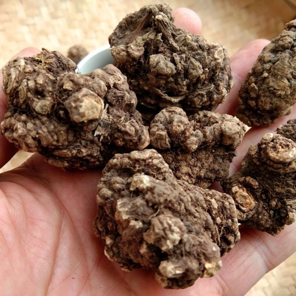 有仁堂 贵州中草药川芎个子500克 大个川芎农家自晒原药生川芎无硫