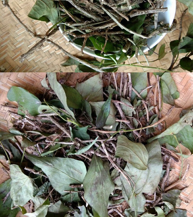 贵州三角枫干货500g 中草药三各风藤本山角峰全株 500g【图片 价格
