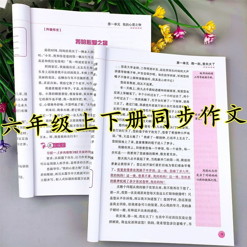 版六年级同步作文书六年级上下册作文 六年级上 下【云阅读同步作文】