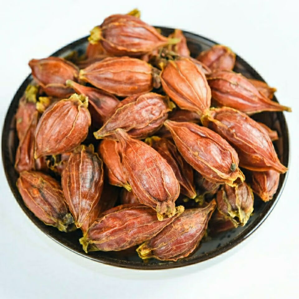 中药材山枝子山栀子红小栀子果栀子茶新鲜黄栀子干茶泡茶山枝子1000克