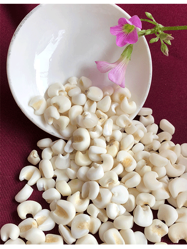 雪芽米包谷广西糯玉米头整粒玉米大颗白玉米粒杂粮干玉米粒苞谷米5斤