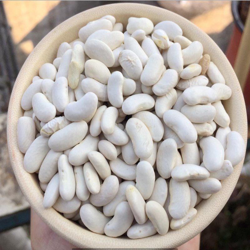新豆 云南小白豆小白芸豆 四季豆农家自种煲汤煮粥五谷杂粮 白腰豆(五