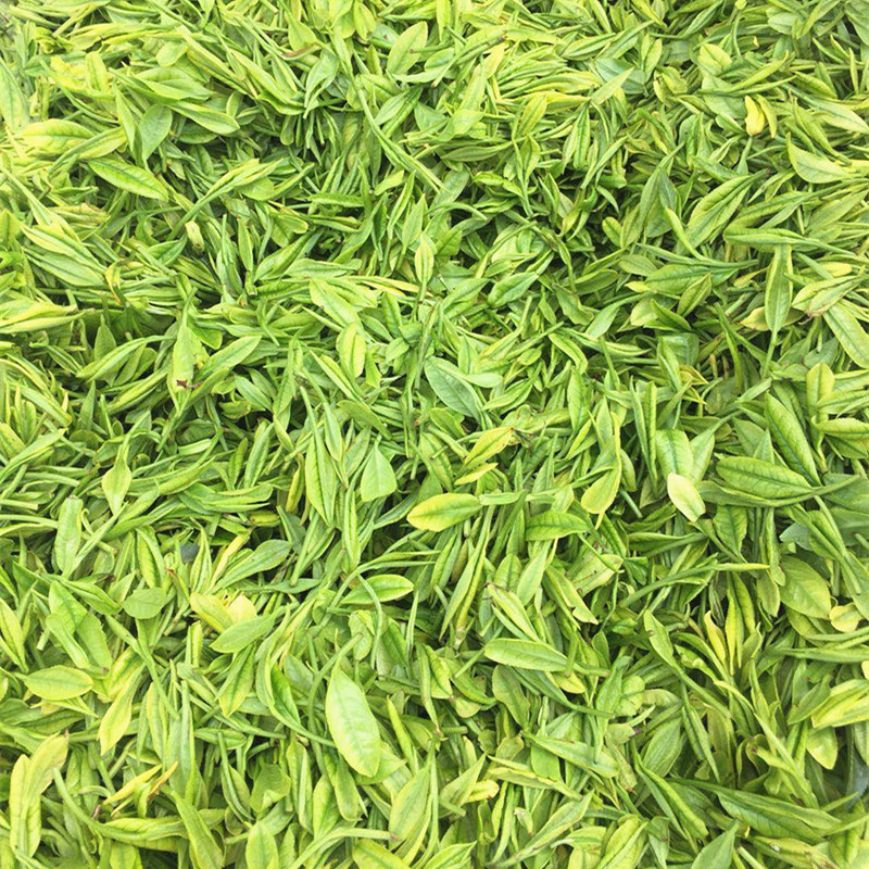 安吉白茶2019年新茶雨前一级 豆香味绿春茶叶春茶农直销250g散装