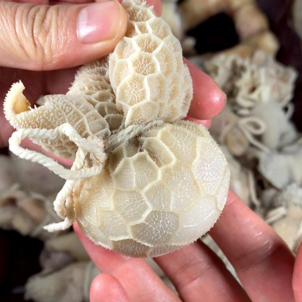 清真羊肚包脑羊肚包肉肚包肉网红美食肚包脑新鲜内蒙古 羊肚包脑1斤