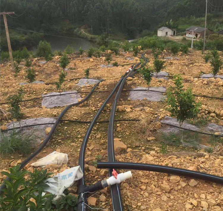 果树滴灌设备16pe管20农用喷雾微喷喷灌pe滴灌管果园大棚灌溉pe管25