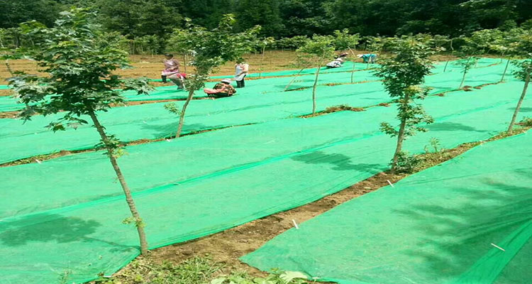 园林绿化无纺布绿色透气膜工地草坪防尘盖土布护边坡植草籽覆盖布定制