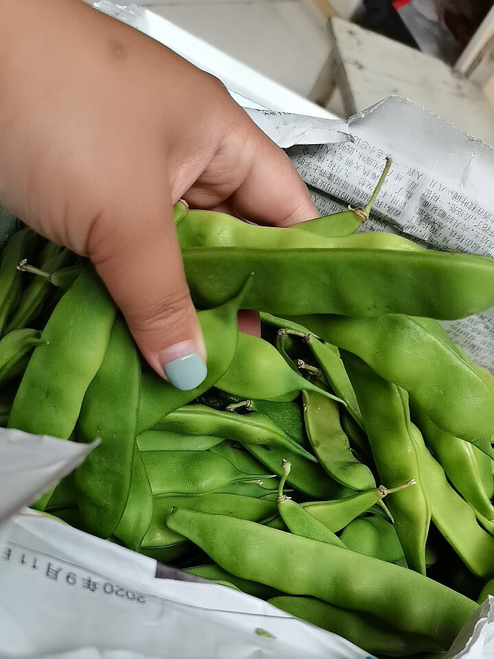 芬岚【产地直发】正宗东北油豆角5斤九月青现摘新鲜