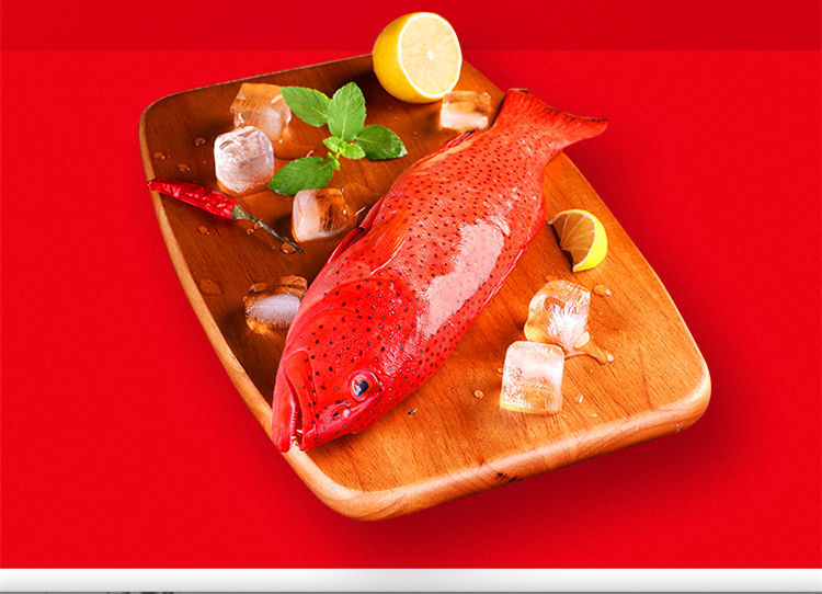 【品质 东星斑鱼】400-500g/条捕捞红星燕尾斑鱼新鲜冻品广纳力驰 特