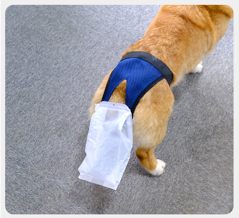 狗狗拾便器狗狗拾便袋一次性自动收集袋粪便收集袋遛狗外出大便袋