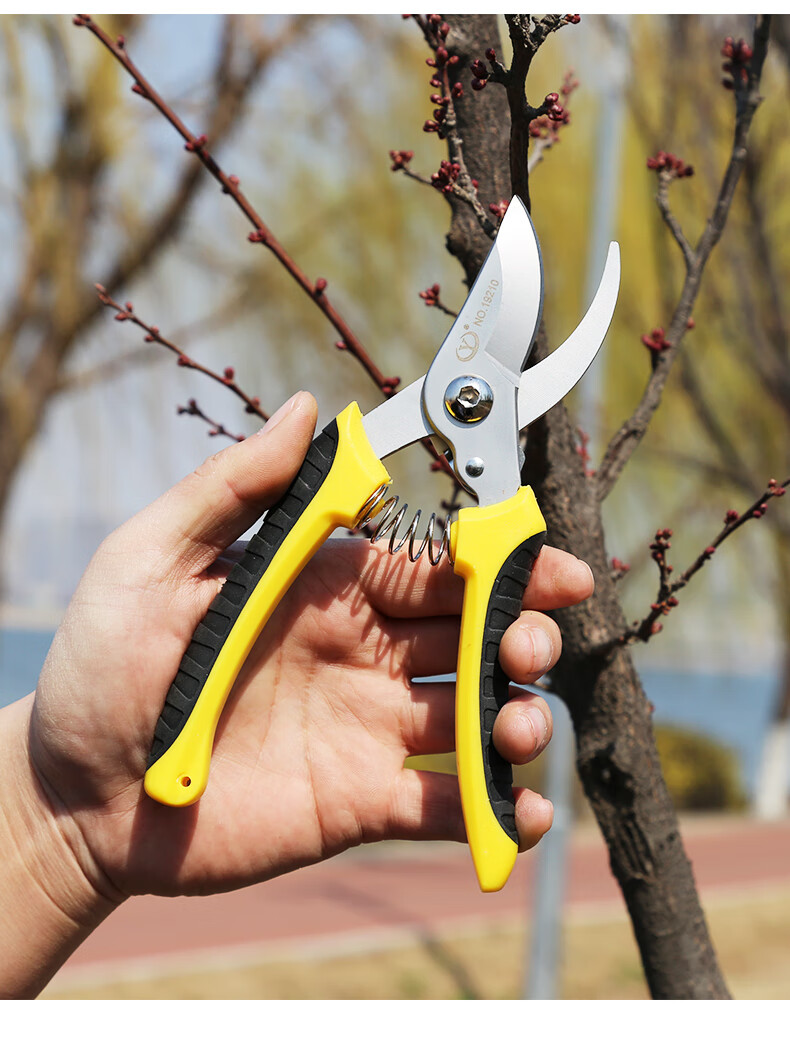 sk5钢刀花艺园林修花剪修剪树枝果树 家用强力剪枝剪刀 经济款【图片