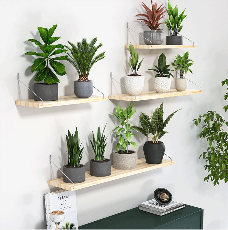 定制挂墙花架墙上架壁挂免打孔墙壁架子阳台上墙植物摆放架钉墙挂墙