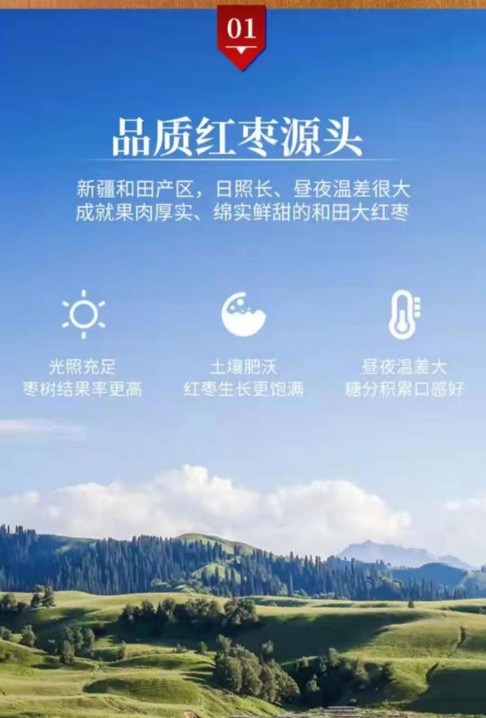 椰枣干的功效与作用_干椰枣的功效_干椰枣的食用方法